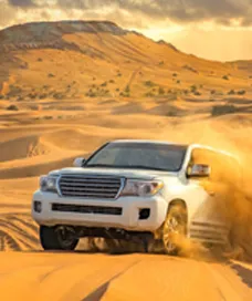 Premium Safari with Dune Buggy Dubai