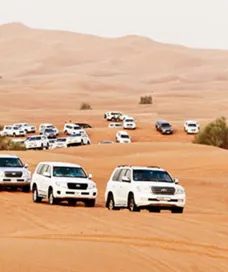 Standard Safari with Dune Buggy Dubai